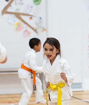 Clubs   carousel karate 
