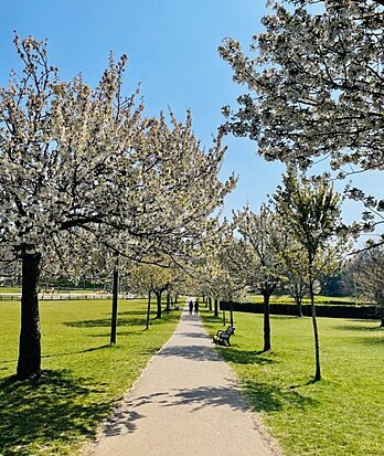 green park 