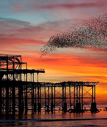 hove 3 