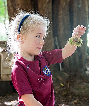 Nature Explorers   text carousel 