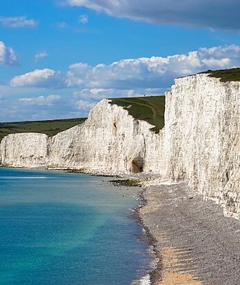 wild sussex 