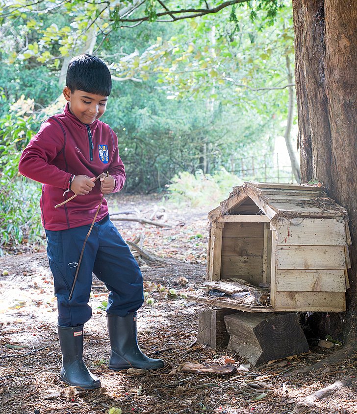  Forest School   full height 2  